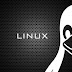 Upgrade Linux Kernel 4.5 (Stable) on Ubuntu / Linux Mint Derivative System 